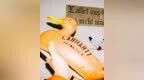 休闲潮流风格，Carhartt <em>WIP</em> x Stance 联名系列袜款登场