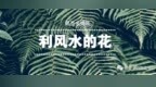 【易圣金钥匙】利风水<em>的</em><em>花</em><em>有</em><em>哪些</em>？