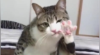 hi，girl，give <em>me</em> five ~~~