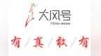 <em>MOBI</em> vs GAS 汽车区块链正规军跑步进场