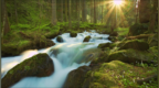 经典钢琴曲《<em>River</em> Flows In You》