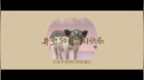 <em>GQ</em>不可能的采访：井柏然与超模小猪.mp4