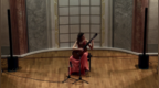 Ana Vidovic演奏披头士<em>yesterday</em>