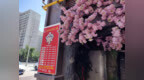 <em>Co</em>客打卡第一站：山水溶洞！