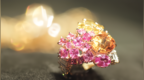 寸镜说 | 迪奥推出全新顶级珠宝系列<em>Gem</em> Dior