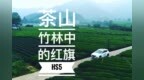 茶山竹林中的红旗<em>HS5</em> | 爽爽侃车