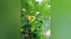 asp.et <em>mvc</em>实战-学习笔记(1)