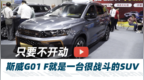 斯威<em>G01</em> F静态体验，看起来真的很战斗 汽车Vlog259