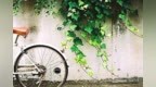 孙锐微小说<em>0049</em>：男人的一点儿隐私