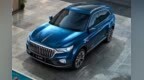 2019重磅自主SUV - 红旗<em>HS5</em>