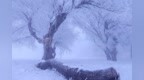 挑战-27℃ 富士GFX <em>50R</em>极寒挑战