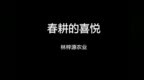 春耕<em>de</em>美好时刻