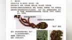 株洲中药：丹参（Dān <em>Sh</em>ēn）