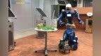 <em>Dlr</em> 机器人滚动贾斯汀和伯特协助复活节兔子