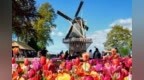演员Amy <em>Holland</em>演唱的歌曲《她着火了》欣赏