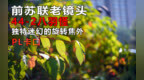 俄罗斯八羽怪44-2 <em>pl</em>卡口 焦外旋转