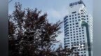 长江电力年均盈利超百亿 累计分红<em>1082</em>亿元分红率63%