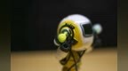 Skullcandy的JIB+ <em>Wireless</em>