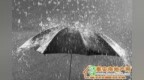 吾悦华府 “位 ” 雨绸缪丨梅雨季节, 跟 “ 潮 ” 车say <em>bye</em> <em>bye</em>