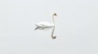 和孩子一起学：优美的英文歌<em>beautiful</em> swan