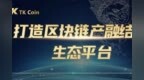 打造区块链产融结合生态平台 <em>TK</em> Coin艺术品溯源鉴定平台顺势起航