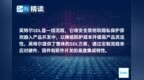 利用英特尔安全开发生命周期（<em>SDL</em>）打造更加安全的技术
