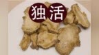 株洲中药：独活（Dú <em>Hu</em>ó）