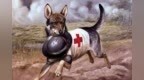 <em>Great</em> War | 一条狗的使命