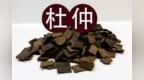 株洲中药：杜仲（Dù <em>Zh</em>ònɡ）