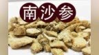 株洲中药：南沙参（Nán <em>Sh</em>ā <em>Sh</em>ēn）