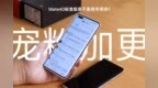 华为Mate40标准版是不是周冬雨排？<em>QA</em>视频回答你