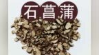 株洲中药：石菖蒲（Shí <em>Ch</em>ānɡ Pú）