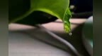 依视路荣获“金钥匙 -- 面向<em>SDG</em>的中国行动”优胜奖