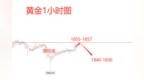 易欣岚：黄金超跌反弹不改下跌命运，反弹<em>1856</em>大胆空！