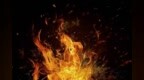 on <em>fire</em>竟然可以用来夸人？