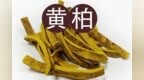 株洲中药：黄柏（<em>Hu</em>ánɡ Bò）