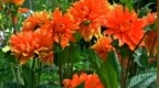 王梓钧《And <em>Right</em> Now》mv饭制版