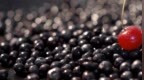 于蔓《Purpose of <em>life</em>》mv饭制版