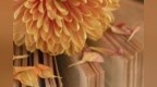 国内有哪些好用的H5聊天室<em>sdk</em>