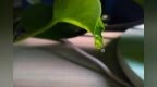 诸葛<em>io</em>品牌再升级 「诸葛智能」深度赋能企业数字化转型
