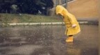 生活场景德语表达：Wann hört <em>das</em> Regen auf?