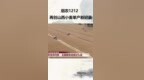 烟农<em>1212</em>  再创山西小麦单产新纪录