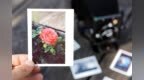大画幅玩家们！LomoGraflok <em>4x5</em> 相机专用拍立得机背来了，久等了