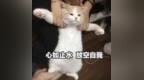 监控拆！今日上班心情be <em>like</em>——