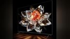 2299就有百级背光分区？TCL <em>V8G</em>诠释王者级别画质