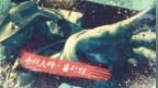 英雄联盟<em>CG</em> 真人版