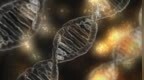 美国研究DNA存储数据技术：<em>1EB</em>（10亿GB）起步
