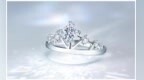 定情钻戒的当仁之选：钻石小鸟<em>Fire</em> Princess®公主