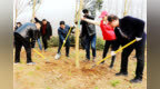 中牟：采用“<em>442</em>打法” 强力推进国土绿化工程