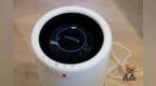 秒新AirWater <em>A3S</em>加湿器图赏：整体美感富有亲和力 符合主流审美